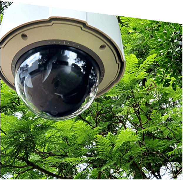 dome type security camera with trees in the background